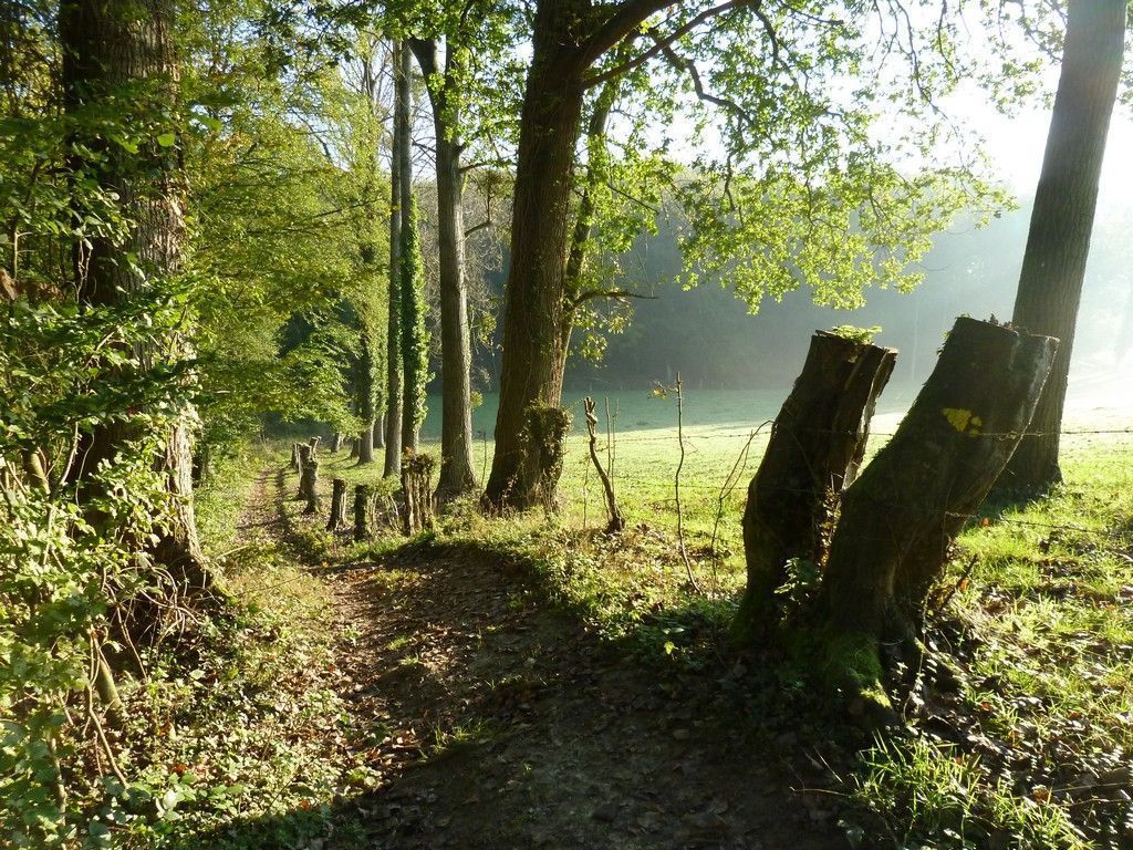 De la forêt d'Hesdin à la vallée de la Planquette (18)