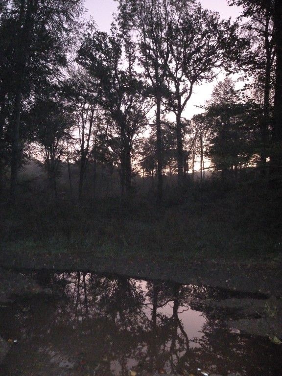 De la forêt d'Hesdin à la vallée de la Planquette (4)