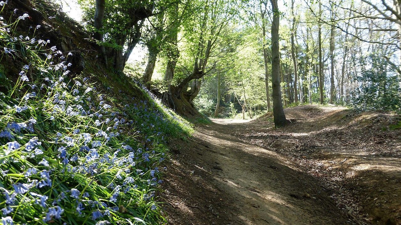 Grand Tour Des Monts Des Flandres PHOTOS